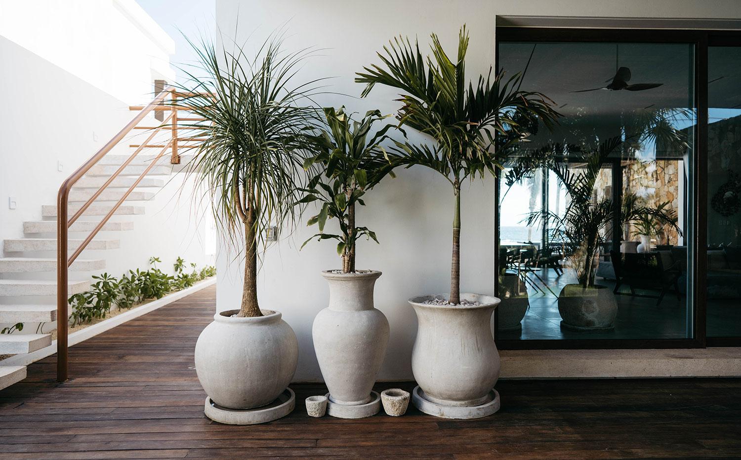 Villa Amara gallery image 10