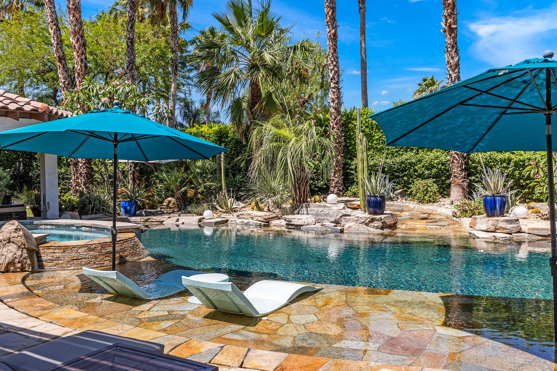 Cabana Palms