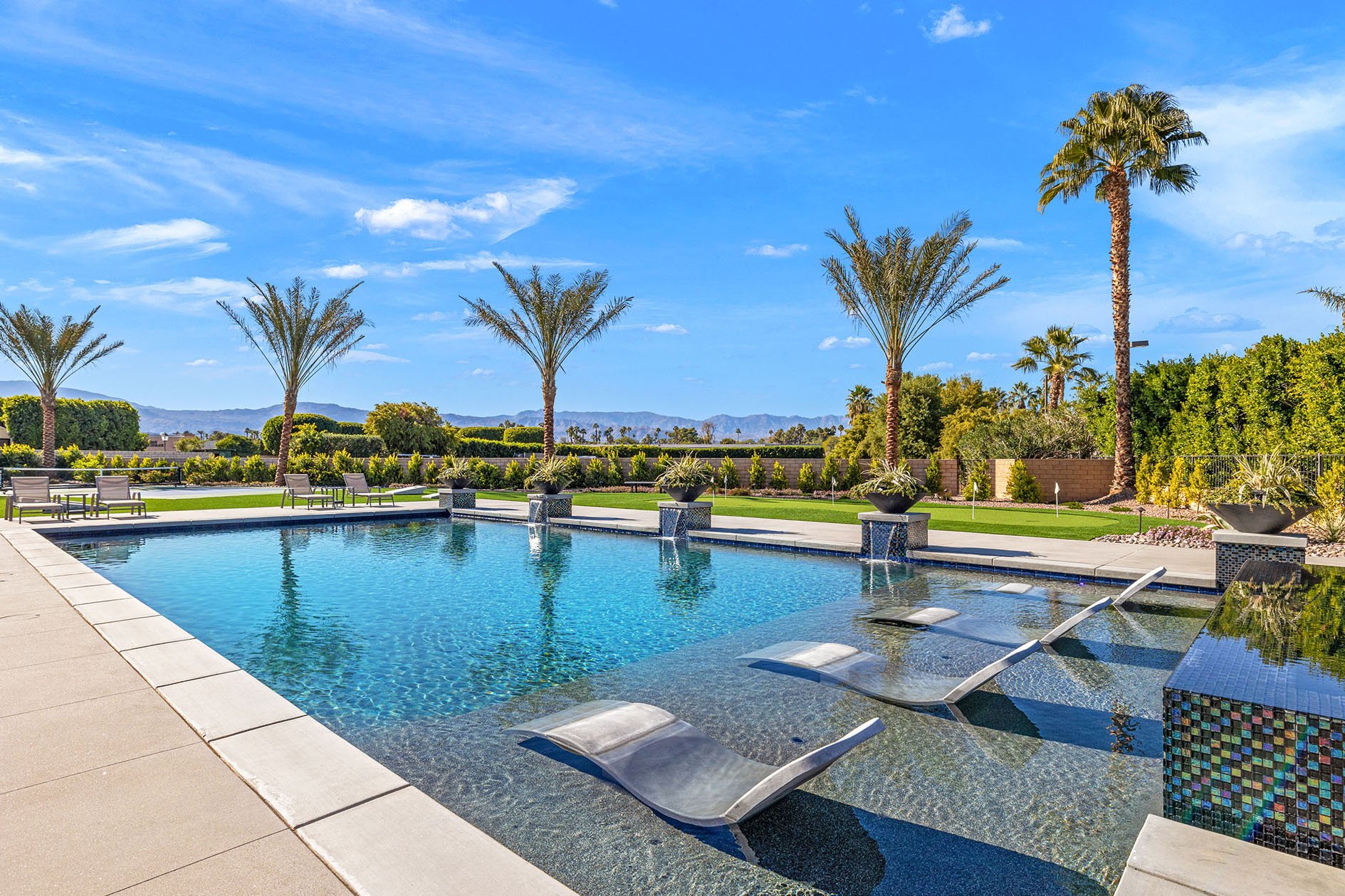 Desert Court Dreams