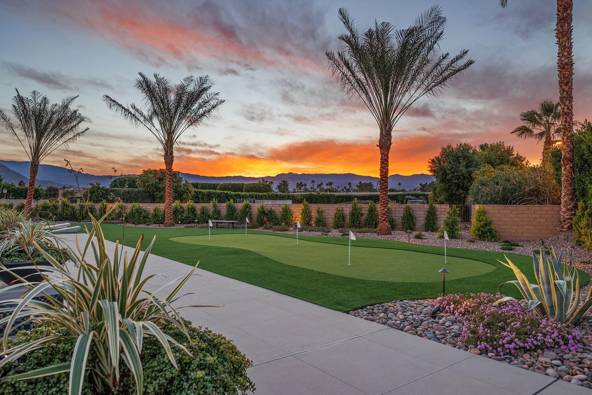 Desert Court Dreams gallery image 10