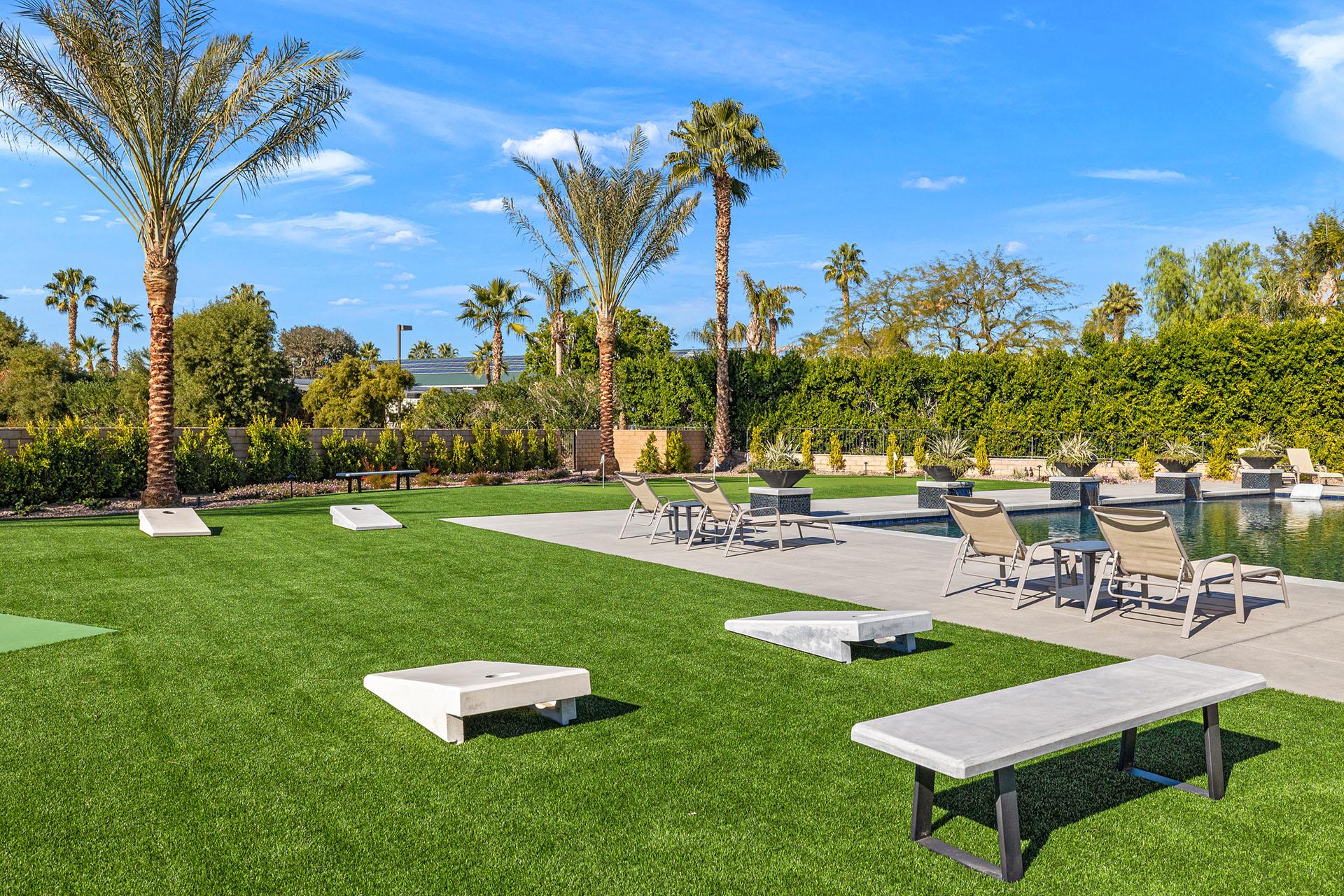 Desert Court Dreams gallery image 7